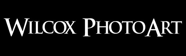 Wilcox PhotoArt logo