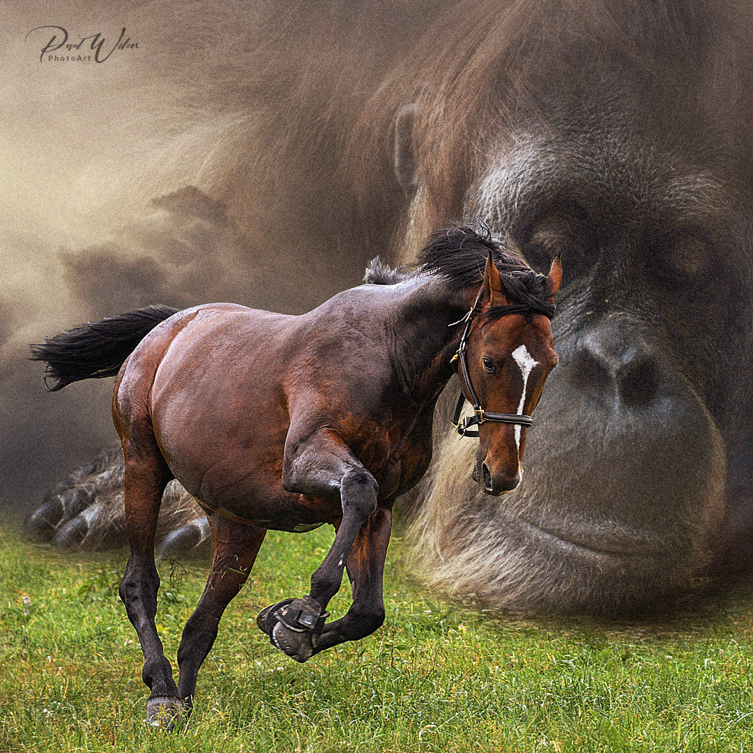 Fantasy Art