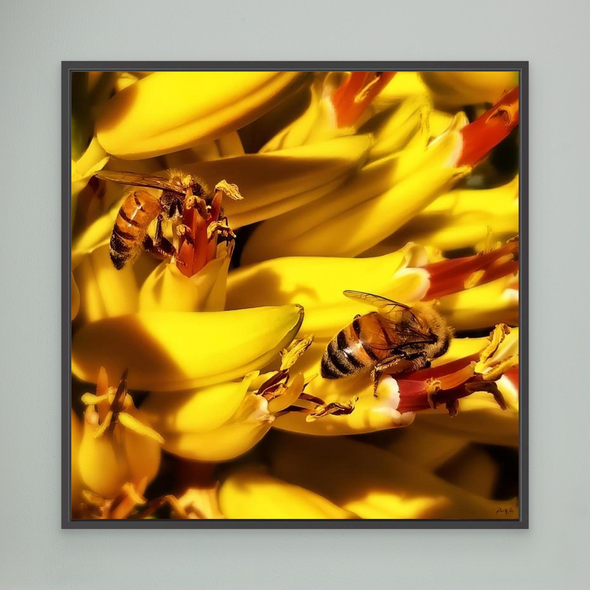 Honeybees Collecting Nectar — Framed Canvas Print