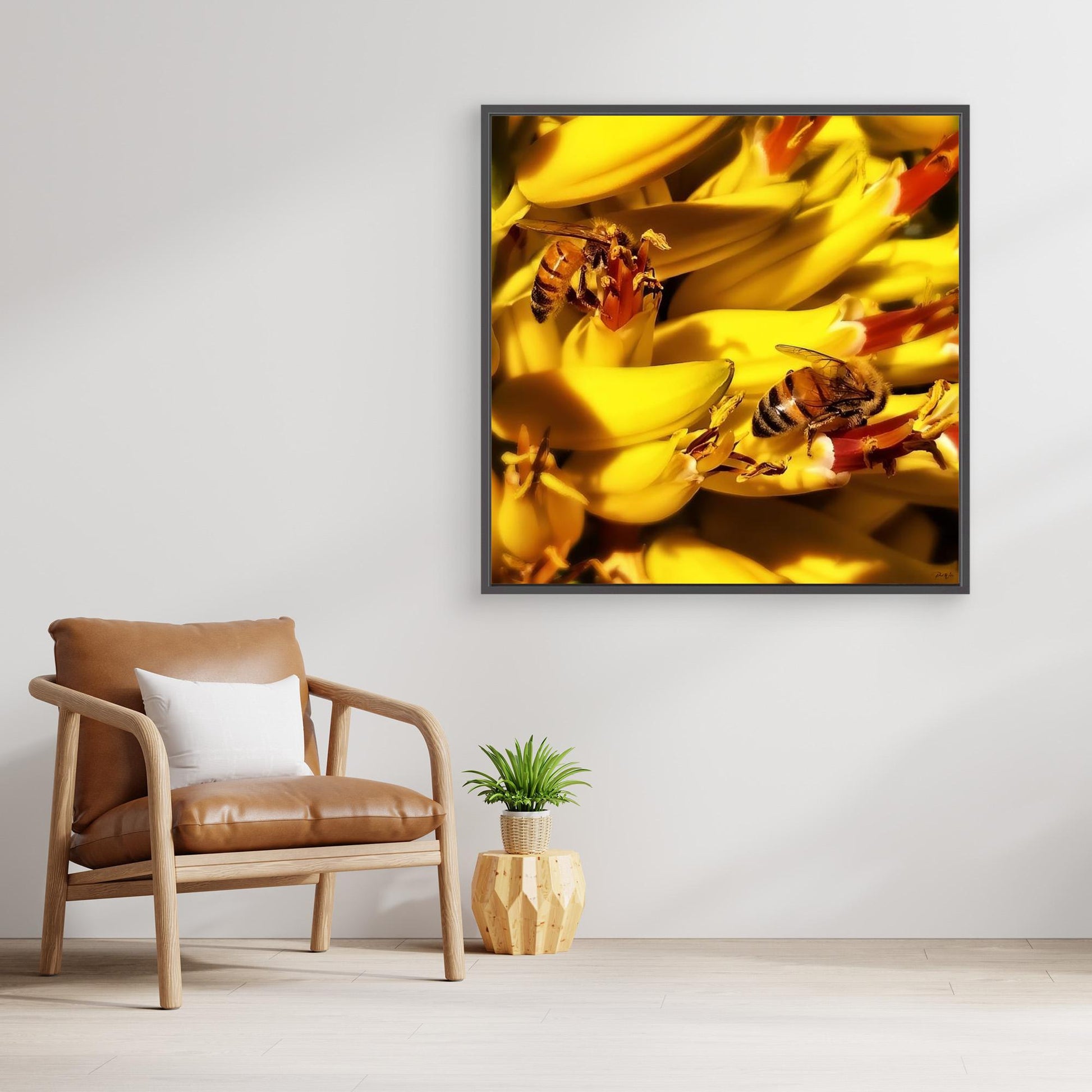 Honeybees Collecting Nectar — Framed Canvas Print