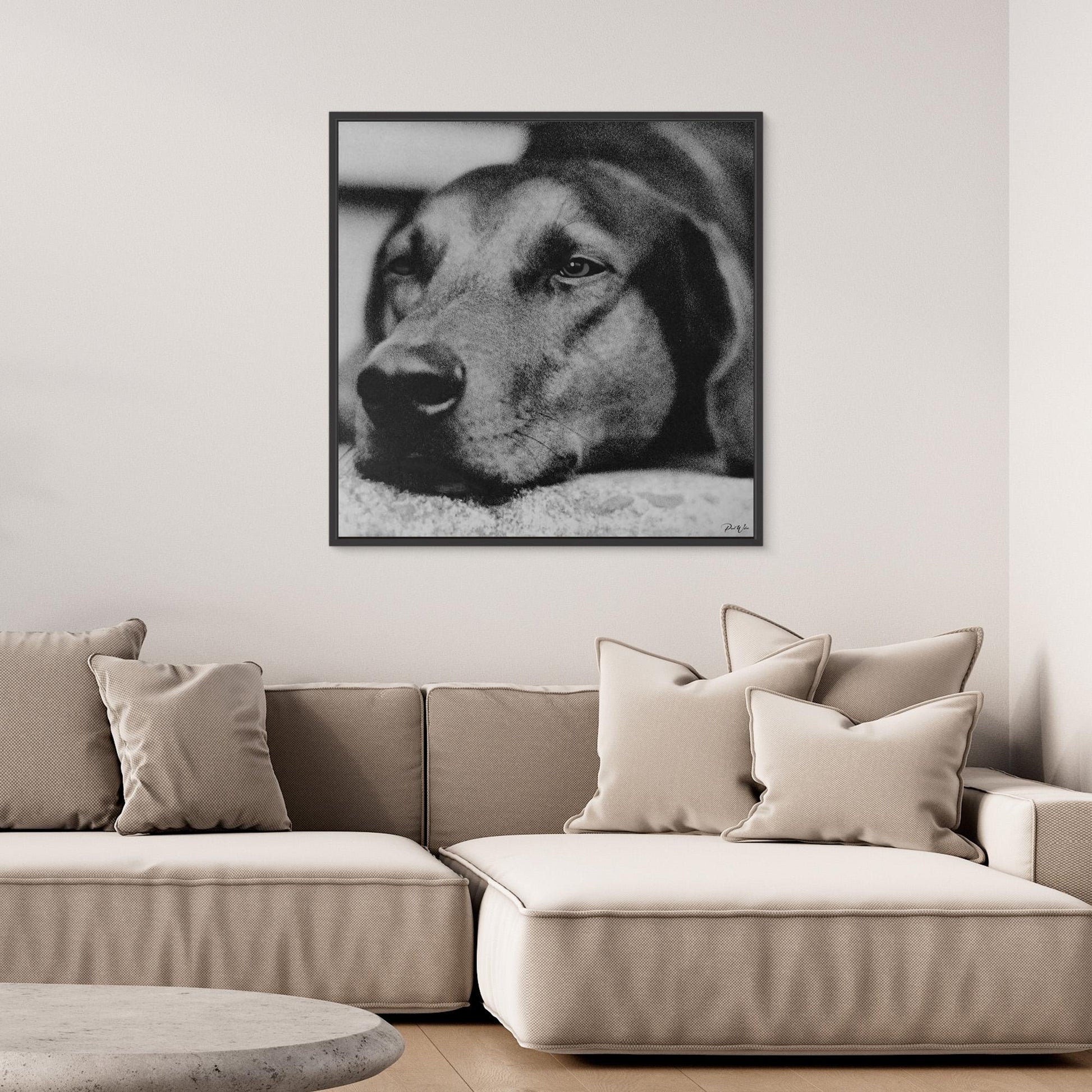 a Dog Named Snooky — Framed Canvas Print