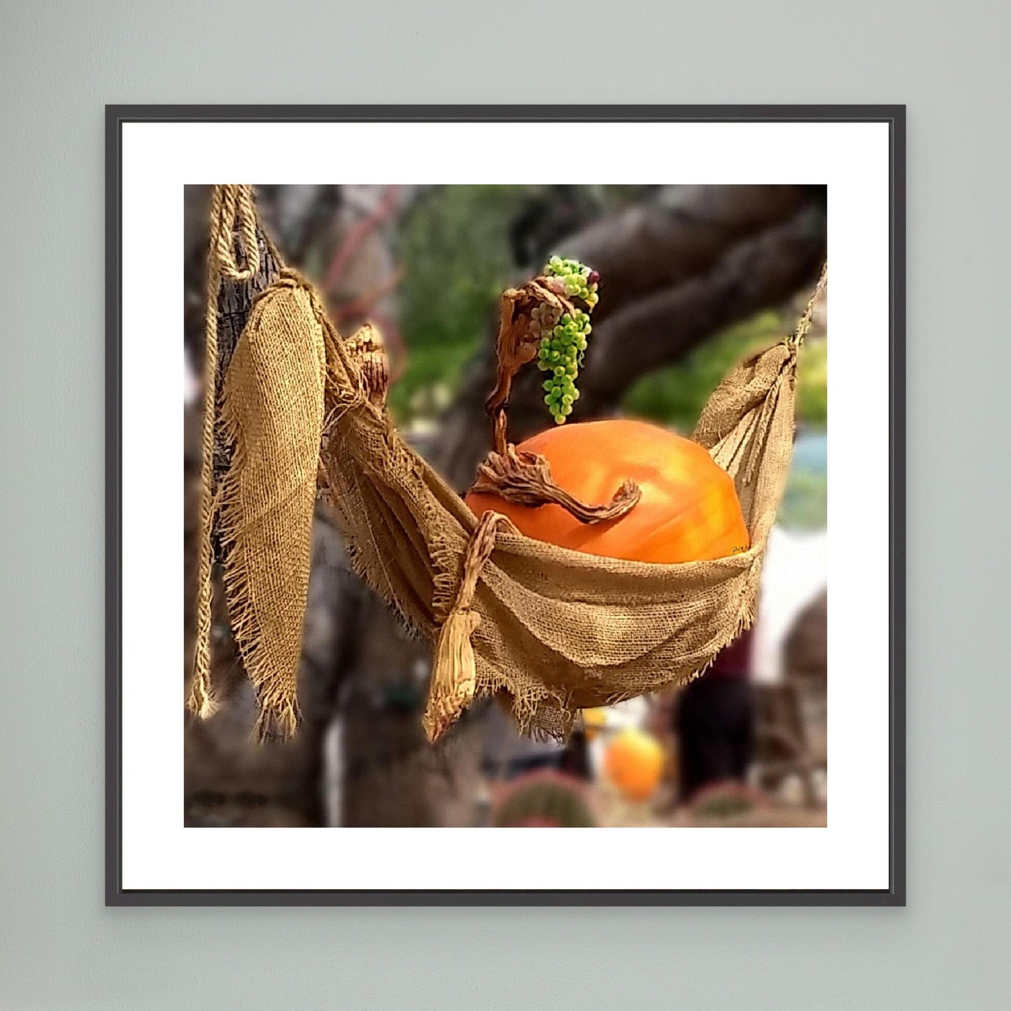 Just Relaxing – Autumn Pumpkin - Framed Canvas Print