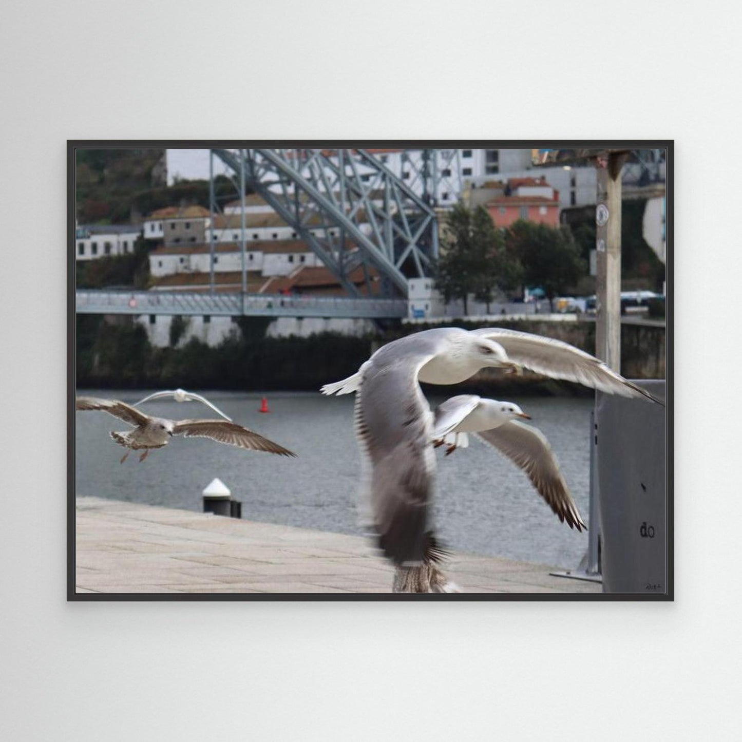 Wings Over Porto - Framed Canvas Art