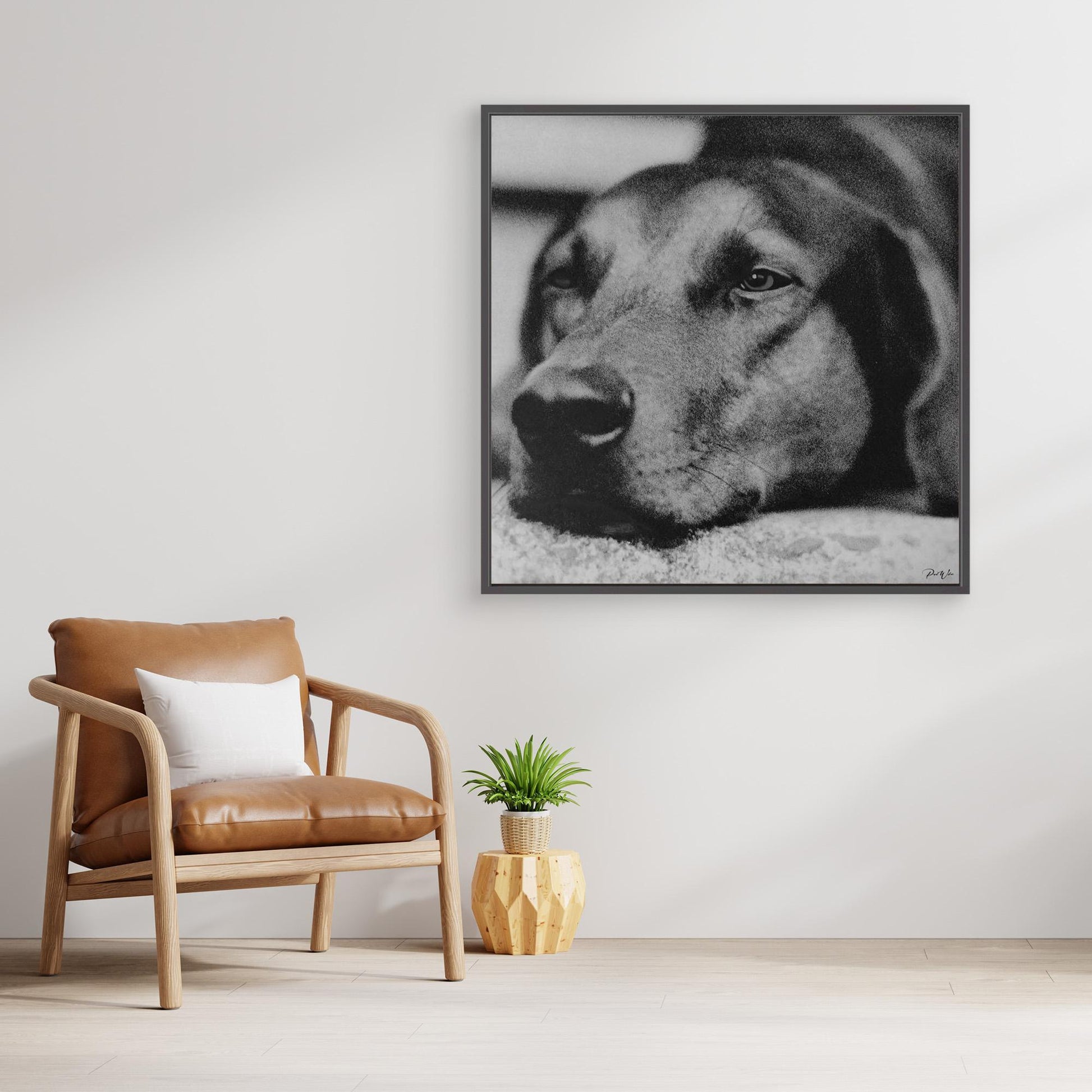 a Dog Named Snooky — Framed Canvas Print